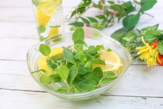 スイカと相性の良い食べ物を紹介
