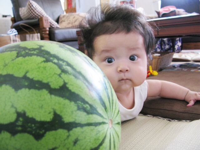 離乳食としてスイカを食べるとき
