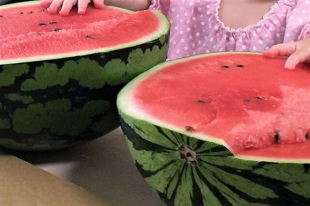 1歳の子にスイカを与える時の注意点