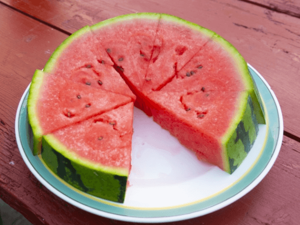 八色小町 大玉スイカ 2玉入り あまいスイカ